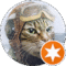 Kat M Avatar
