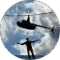 stephen mushenko Avatar