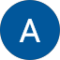 Analiese Postema Avatar